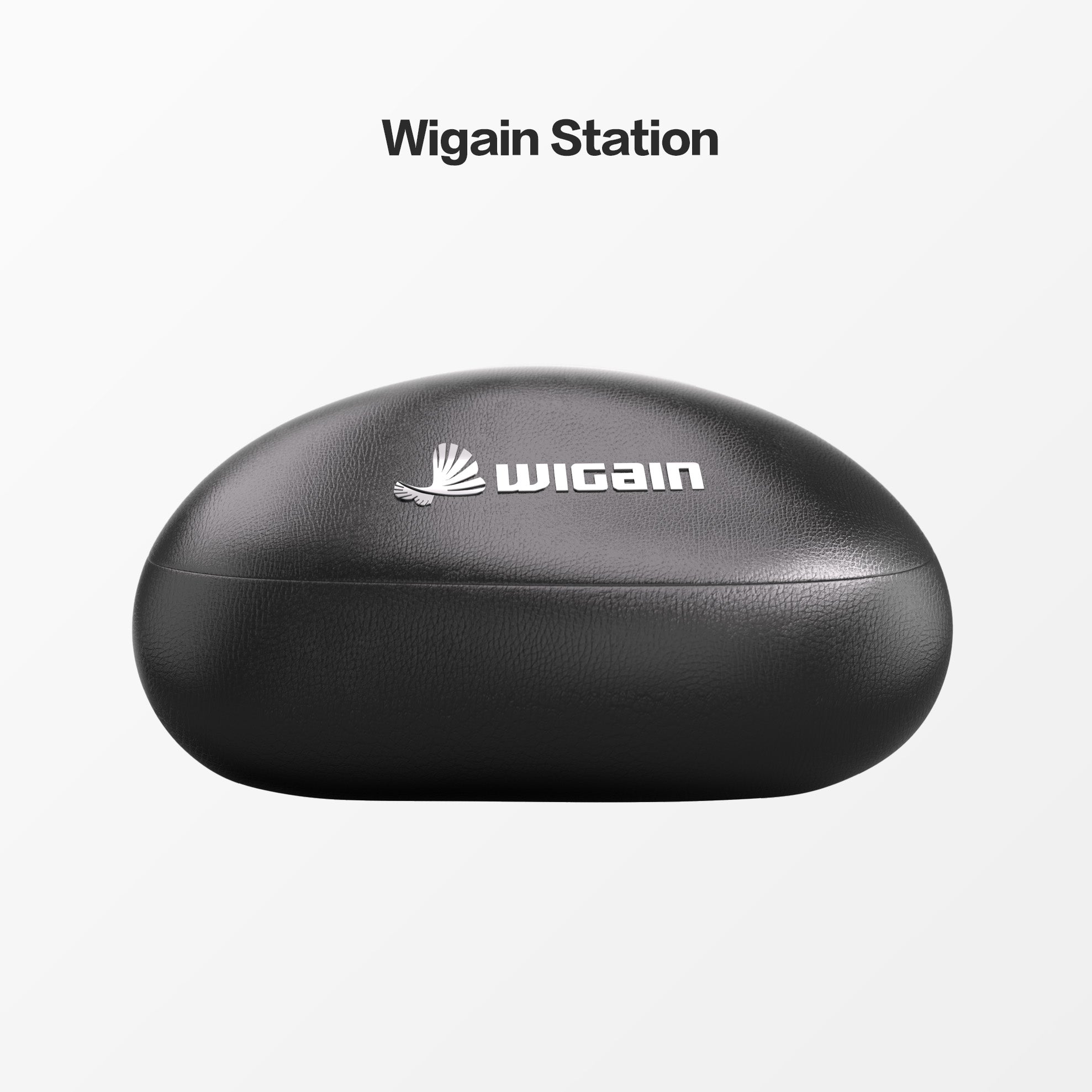 Wigain Omnision XR Glasses