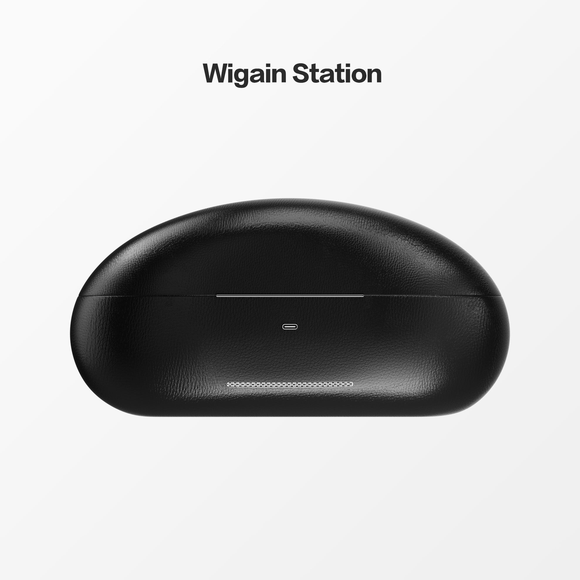 Wigain Omnision XR Glasses