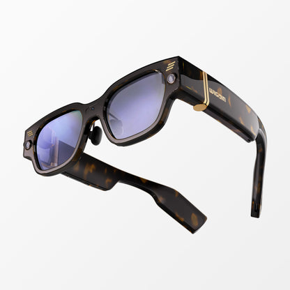 Wigain Omnision XR Glasses