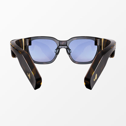 Wigain Omnision XR Glasses