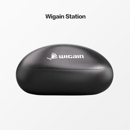 Wigain Omnision XR Glasses