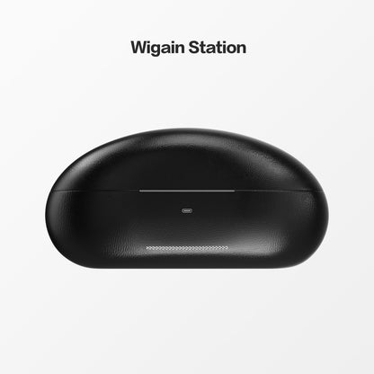 Wigain Omnision XR Glasses